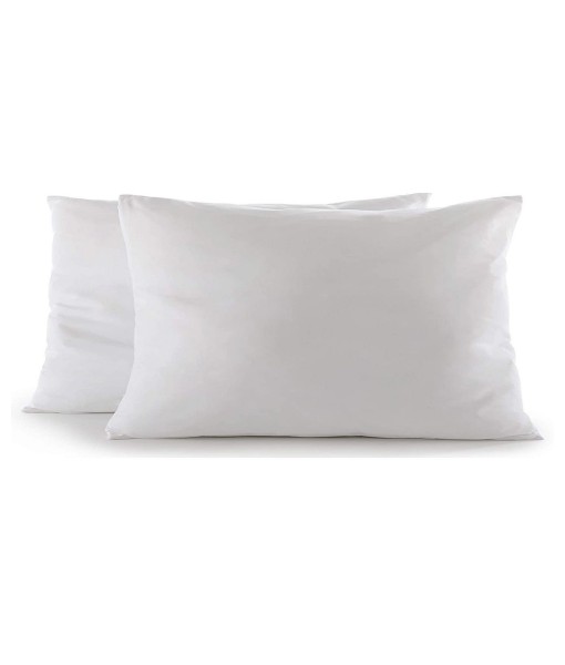 Throw Pillow Inserts  2 Pack - 12