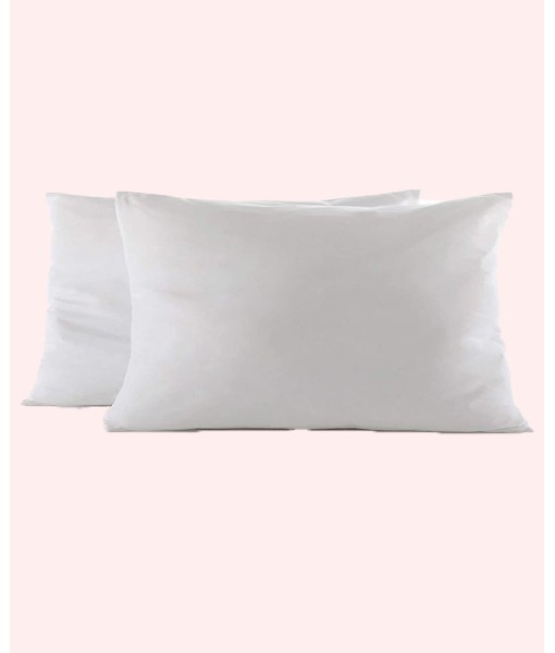 Throw Pillow Inserts  2 Pack - 12